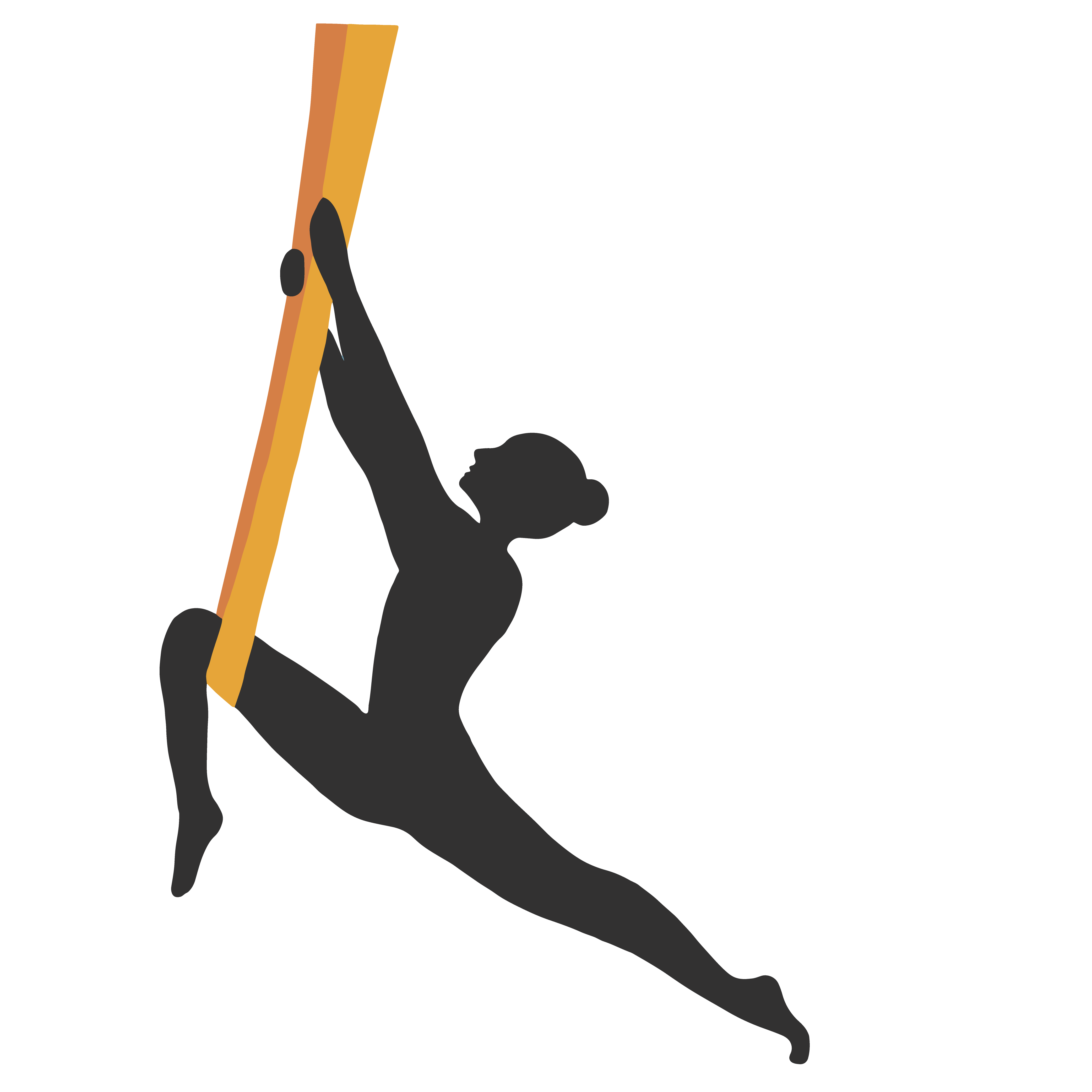 aerial vinyasa icon
