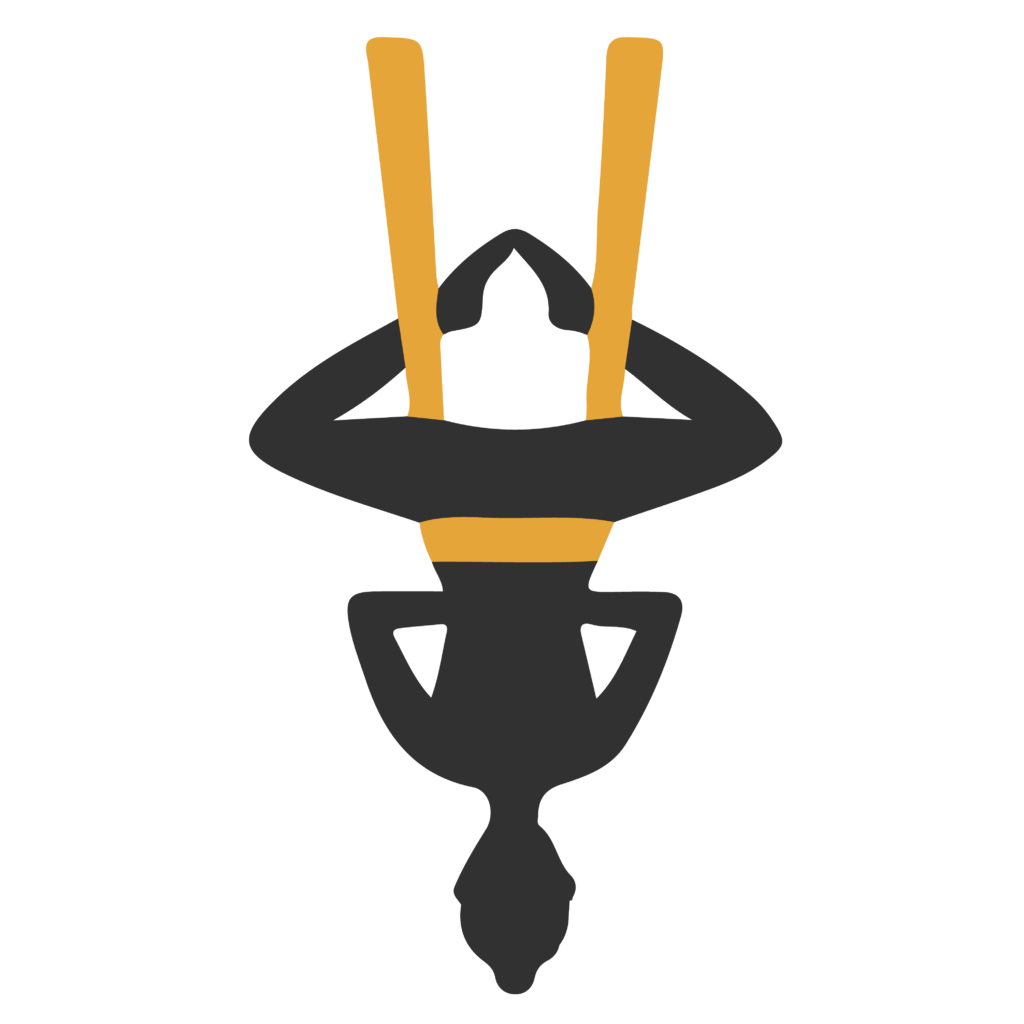 aerial yoga icon