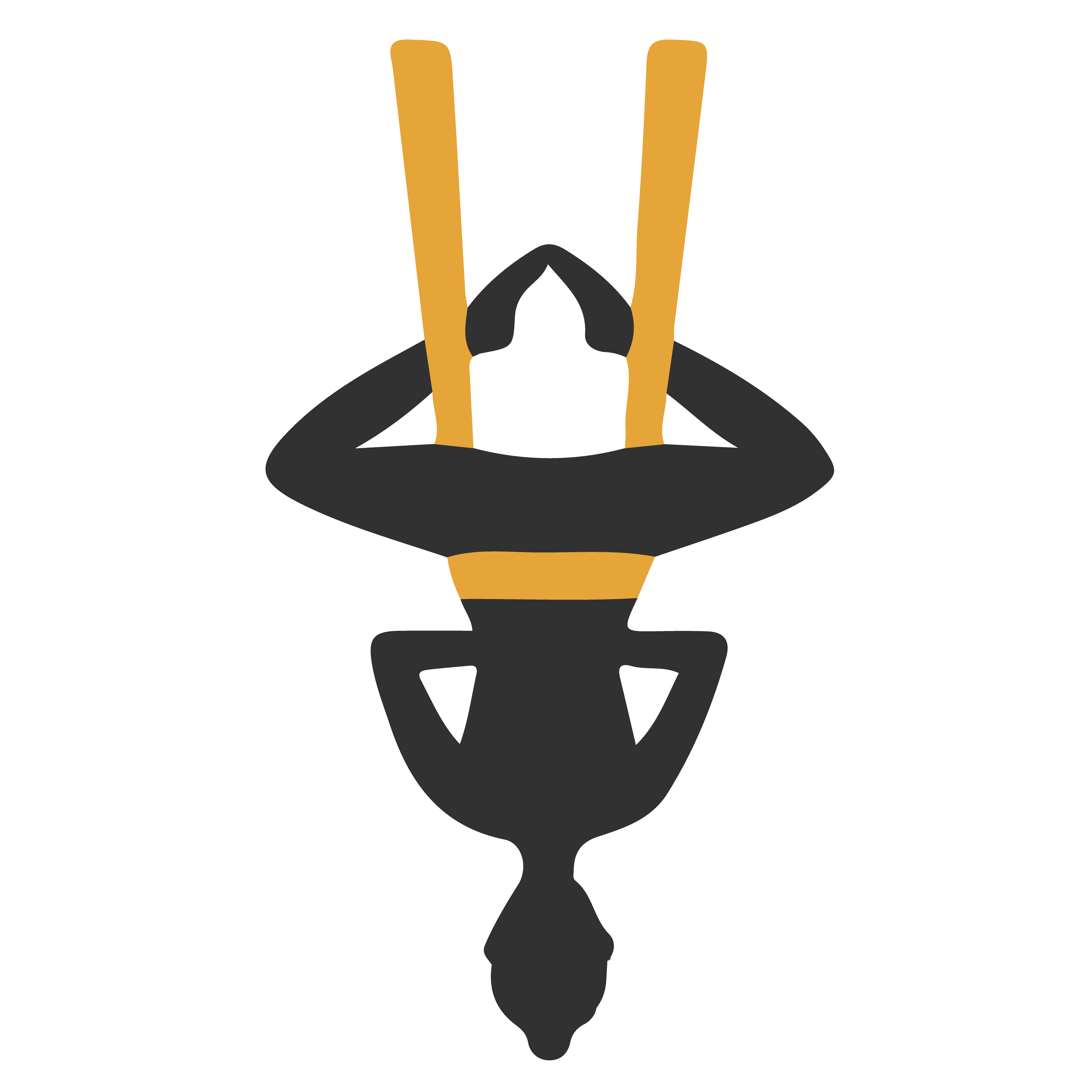 aerial yoga icon