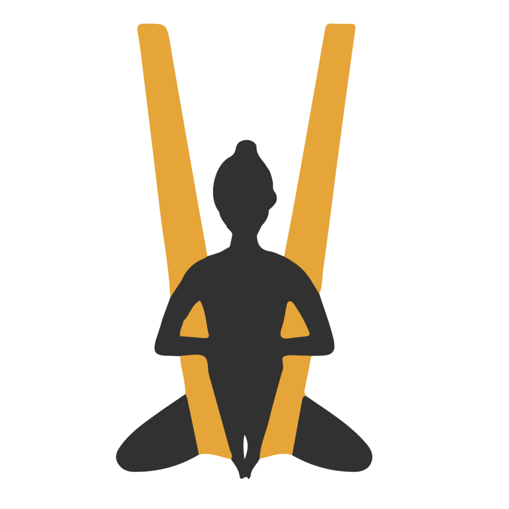 restorative aerial icon