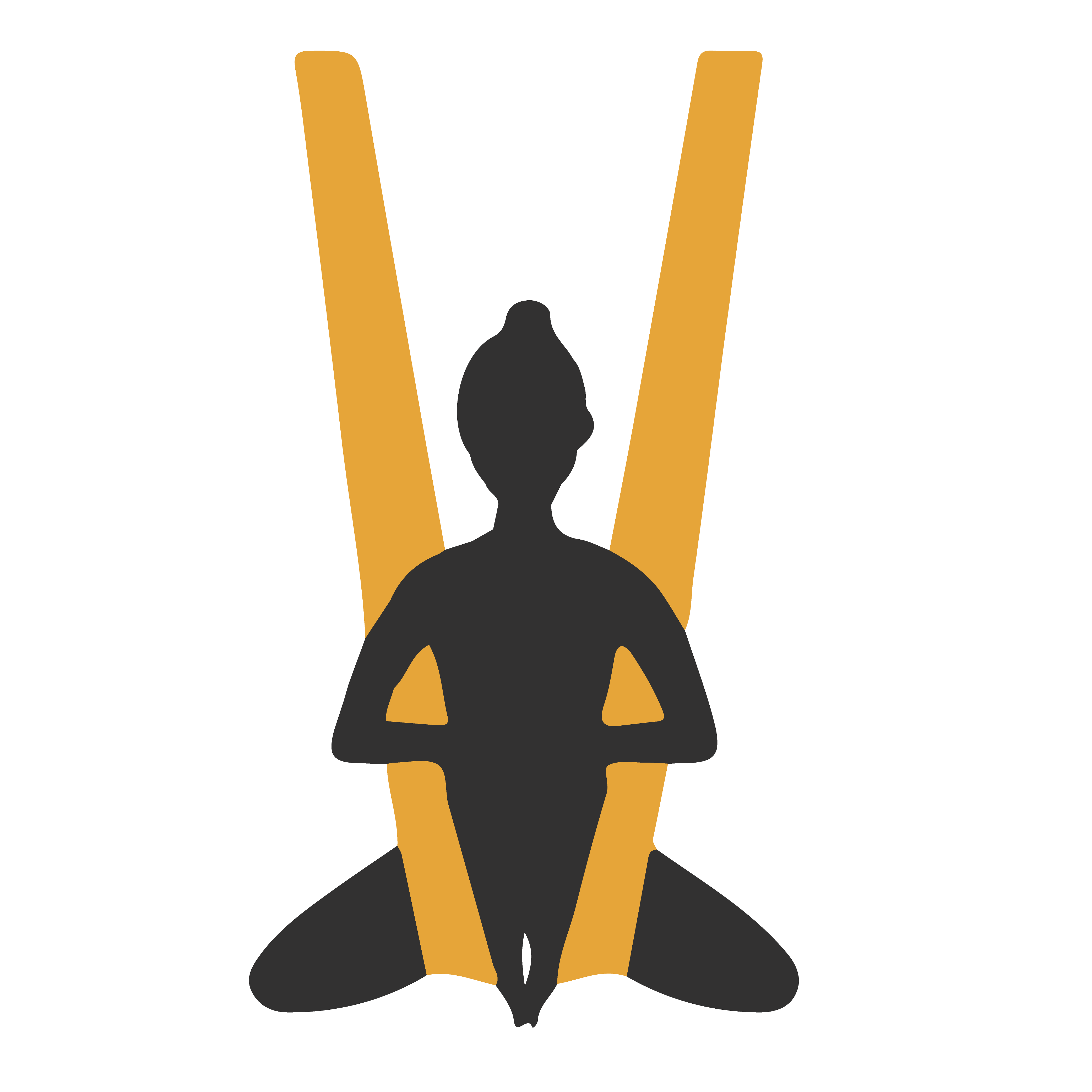 restorative aerial icon